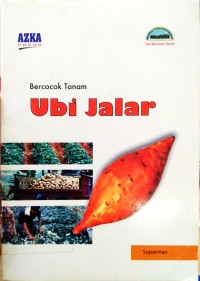 Bercocok Tanam Ubi Jalar