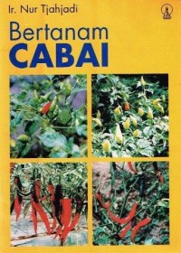 Bertanam Cabai