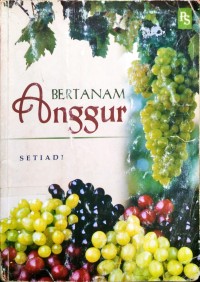 Bertanam Anggur