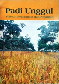 Padi Unggul Toleran Kekeringan Daan Naungan