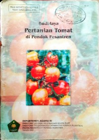 Budidaya Pertanian Tomat di Pondok Pesantren