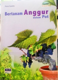 Bertanam Anggur dalam Pot