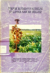 Teknik Budidaya Kedelai Di Lahan Sawah Irigasi