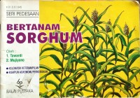 Bertanam Sorghum