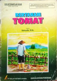 Bertanam Tomat