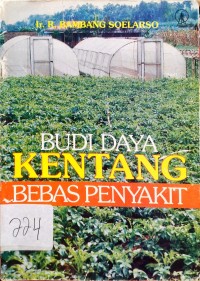 Budidaya Kentang Bebas Penyakit