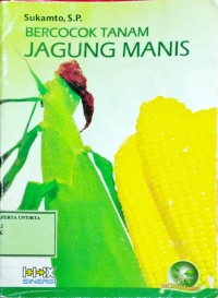 Bercocok Tanam Jagung Manis