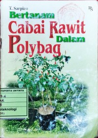 Bertanam Cabai Rawit Dalam polybag