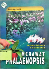 Merawat Phalaenopsis