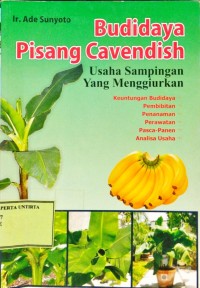 Budidaya Pisang Cavendish: Usaha Sampingan yang Menggiurkan