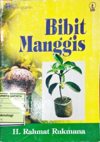 Bibit Manggis