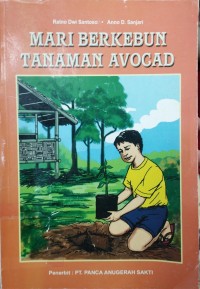 Mari Berkebun Tanaman Avocad