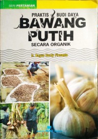 Petunjuk Praktis Menanam Bawang Putih