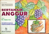 Bertanam Anggur