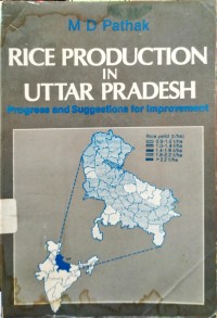 Rice Production In Uttar Pradesh