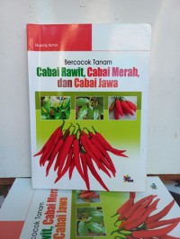 Bercocok Tanam Cabai Rawit, Cabai Merah, dan Cabai Jawa