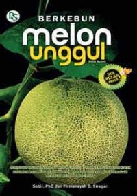 Berkebun Melon Unggul