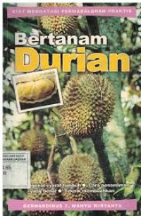 Bertanam Durian