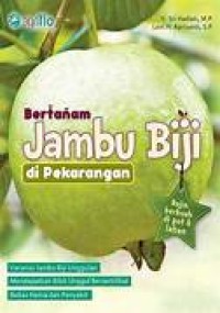 Bertanam Jambu Biji di Pekarangan