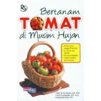 Bertanam Tomat Di Musim Hujan