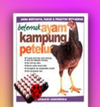 Beternak Ayam Kampung Petelur