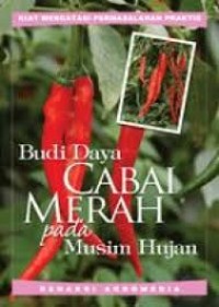 Budi Daya Cabai Merah Pada Musim Hujan