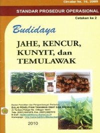 Budi Daya Jahe, Kencur, Kunyit, Dan Temulawak