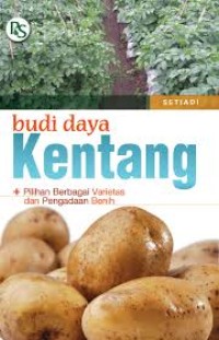 Budi Daya Kentang