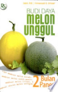 Budi Daya Melon Unggul