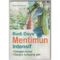 Budi Daya Mentimun Intensif