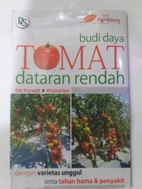 Budi Daya Tomat dataran Rendah