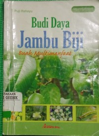 Budidaya Jambu Biji Buah Multimanfaat