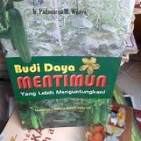Budidaya Mentimun Yang Lebihh Menguntungkan