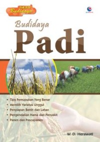 Budidaya Padi