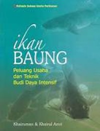 Ikan Baung Peluang Usaha & Teknik Budidaya Intensif