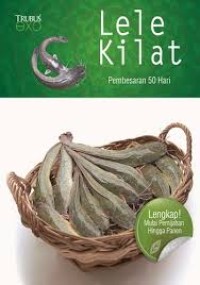 Lele Kilat Pembesaran 50 Hari