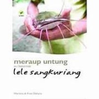 Meraup Untung Dari Beternak Lele Sangkuriang