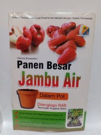 Panen Besar Jambu Air Dalam Pot