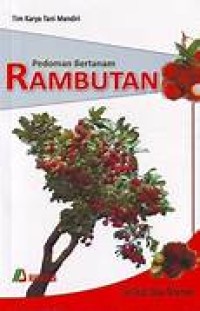 Pedoman Bertanam Rambutan