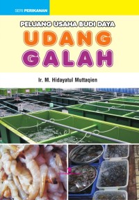 Peluang Usaha Budidaya Udang Galah