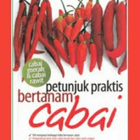 Petunjuk Praktis Bertanam Cabai