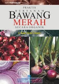 Praktis Bertanam Bawang Merah Secara Organik