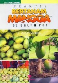 Praktis Bertanam Mangga Di Dalam Pot