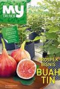 Prospek Bisnis Buah Tin