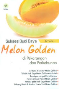 Sukses Budidaya Melon Golden Dipekarangan Dan Perkebunan