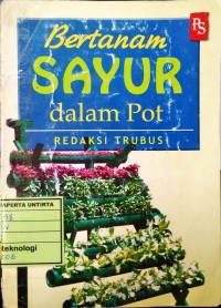 Bertanam Sayur dalam Pot