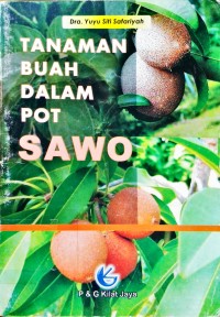 Tanaman Buah Dalam Pot Sawo
