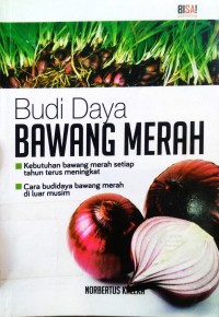 Budi Daya Bawang Merah