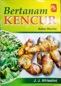Bertanam Kencur