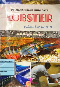 Peluang Usaha Budidaya Lobster Air Tawar